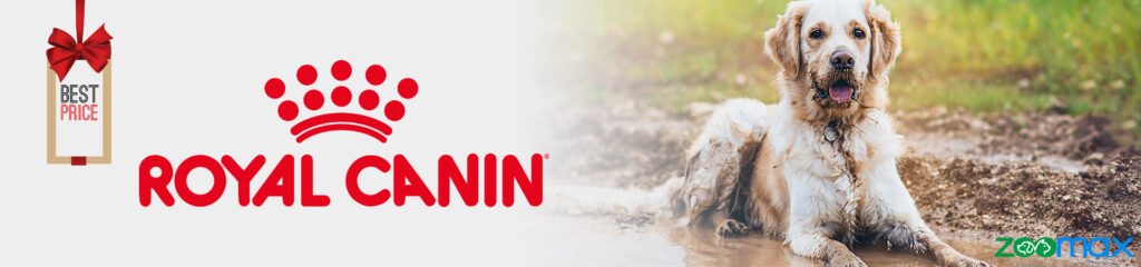 1920x450-service-banner-1920x450-1